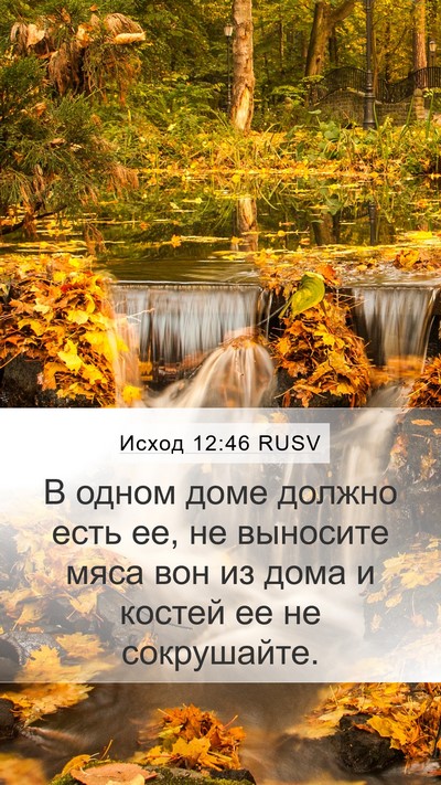 Исход 12:46 RUSV Bible Verse Image
