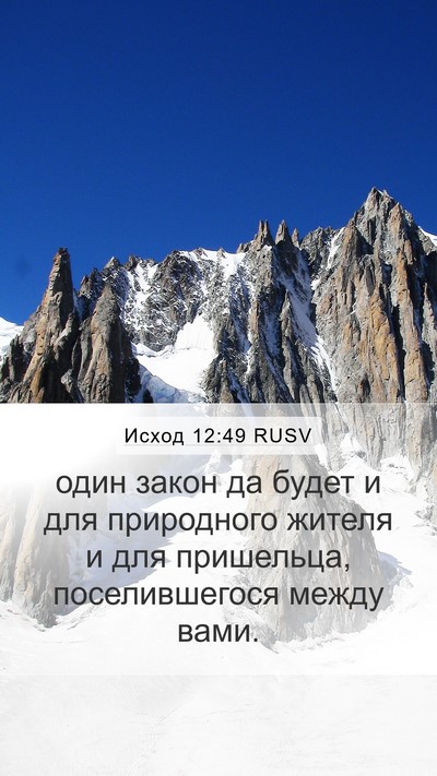 Исход 12:49 RUSV Bible Verse Image