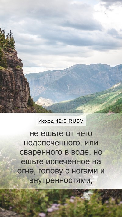 Исход 12:9 RUSV Mobile Phone Wallpaper - не ешьте от него - Mobile Bible Verse Wallpaper