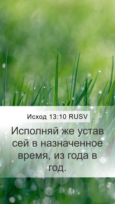 Исход 13:10 RUSV Mobile Phone Wallpaper - Исполняй же устав сей в - Mobile Bible Verse Wallpaper