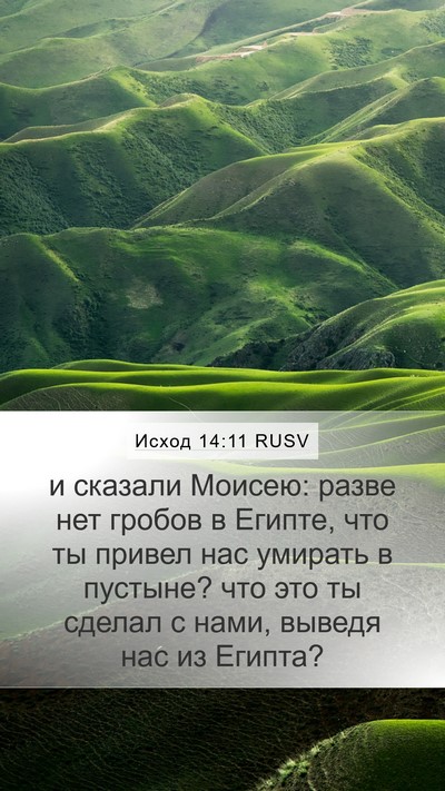Исход 14:11 RUSV Bible Verse Image