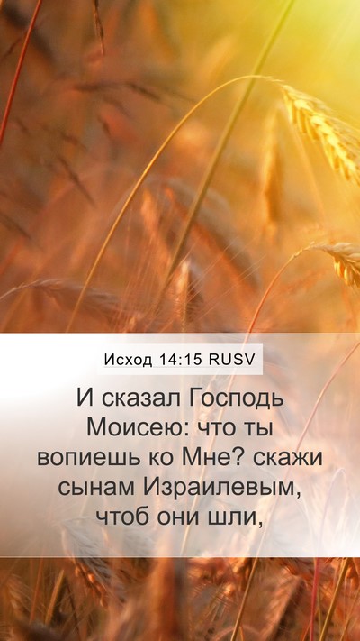 Исход 14:15 RUSV Bible Verse Image