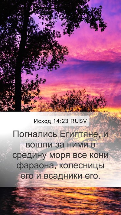 Исход 14:23 RUSV Bible Verse Image