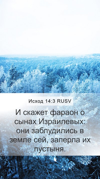 Исход 14:3 RUSV Bible Verse Image