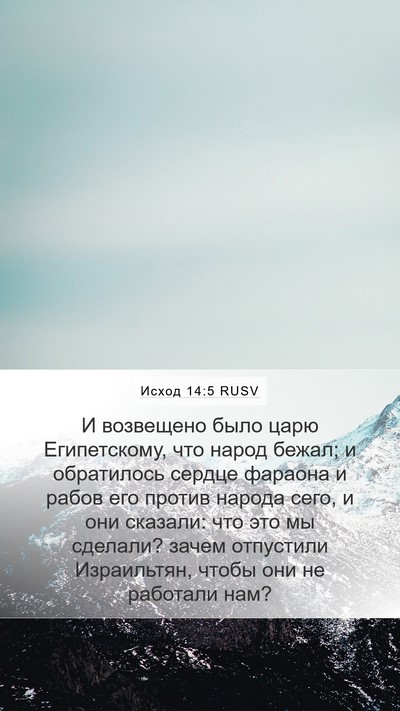 Исход 14:5 RUSV Bible Verse Image