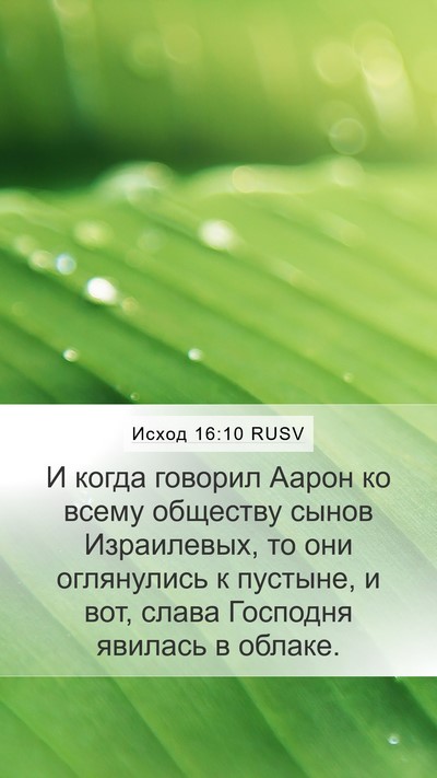 Исход 16:10 RUSV Bible Verse Image