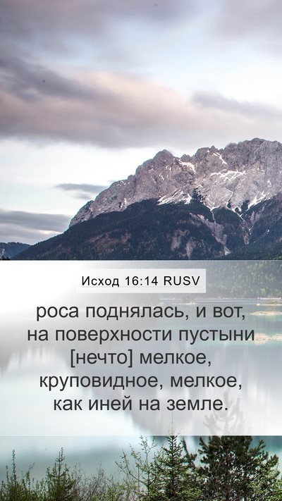 Исход 16:14 RUSV Bible Verse Image