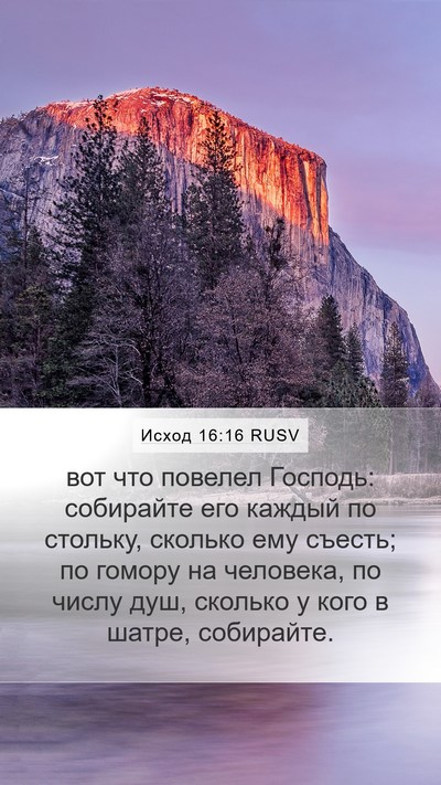 Исход 16:16 RUSV Bible Verse Image