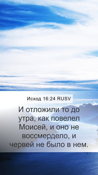 Исход 16:24 RUSV Mobile Phone Wallpaper - И отложили то до утра, как - Mobile Bible Verse Wallpaper