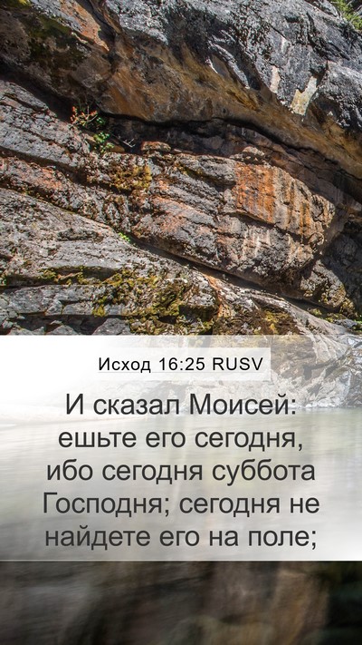 Исход 16:25 RUSV Bible Verse Image