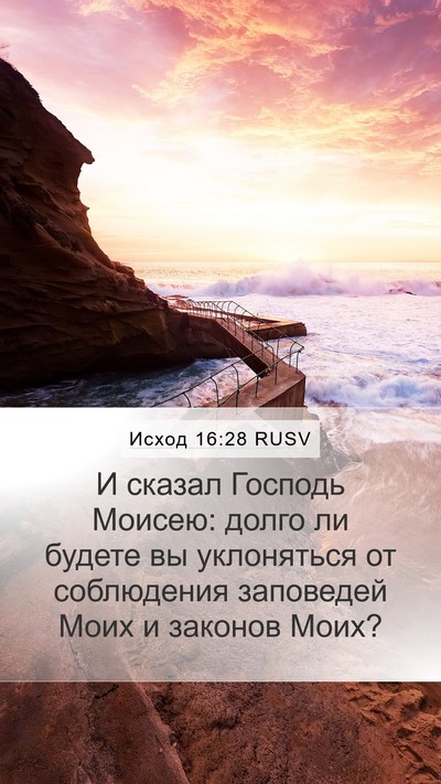 Исход 16:28 RUSV Bible Verse Image