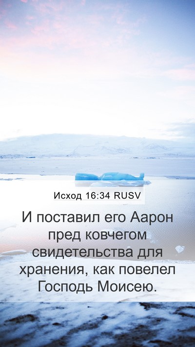 Исход 16:34 RUSV Bible Verse Image