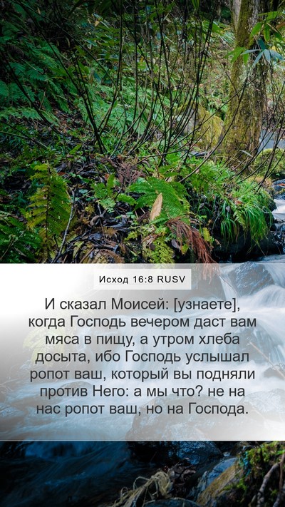 Исход 16:8 RUSV Bible Verse Image