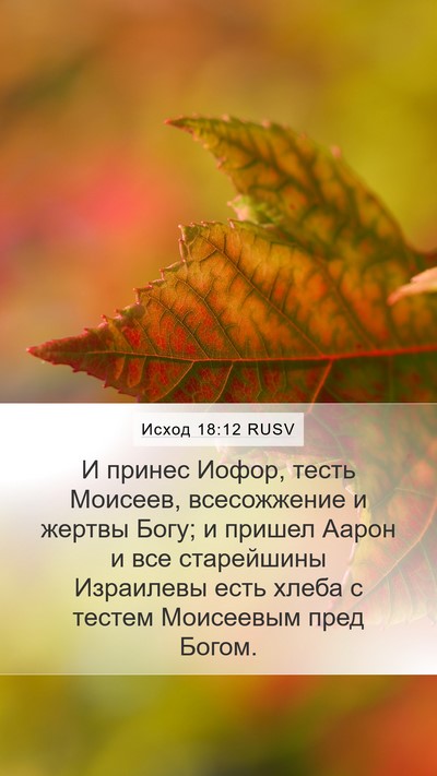 Исход 18:12 RUSV Bible Verse Image
