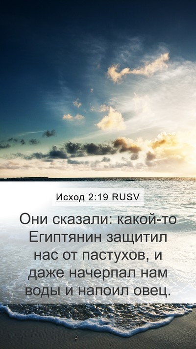 Исход 2:19 RUSV Bible Verse Image