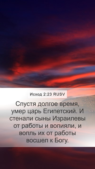 Исход 2:23 RUSV Bible Verse Image