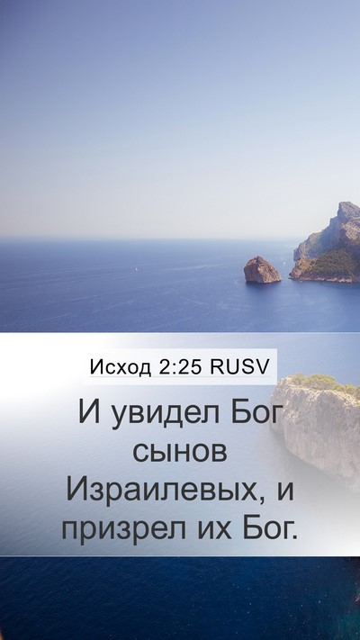 Исход 2:25 RUSV Bible Verse Image