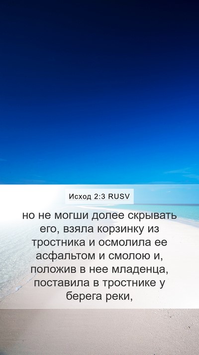 Исход 2:3 RUSV Bible Verse Image