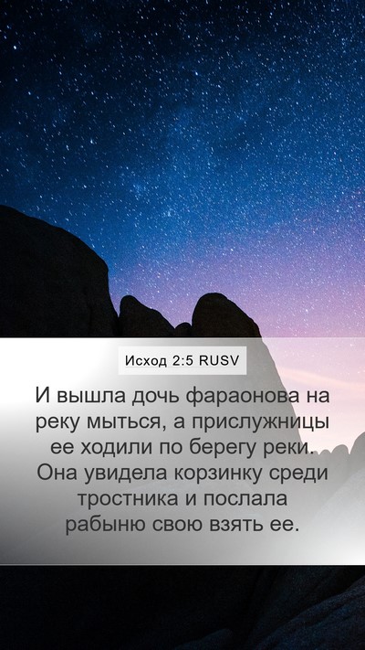 Исход 2:5 RUSV Mobile Phone Wallpaper - И вышла дочь фараонова на - Mobile Bible Verse Wallpaper