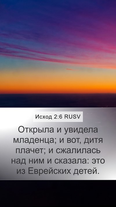 Исход 2:6 RUSV Bible Verse Image