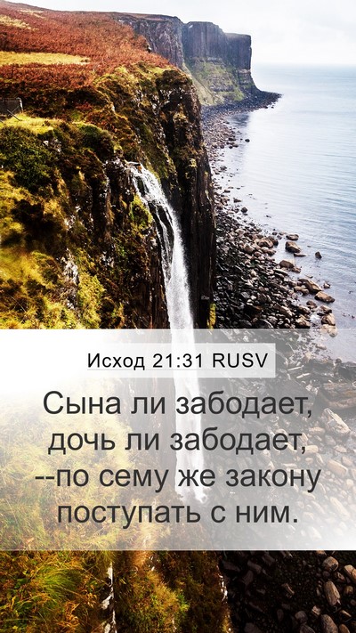 Исход 21:31 RUSV Mobile Phone Wallpaper - Сына ли забодает, дочь ли - Mobile Bible Verse Wallpaper