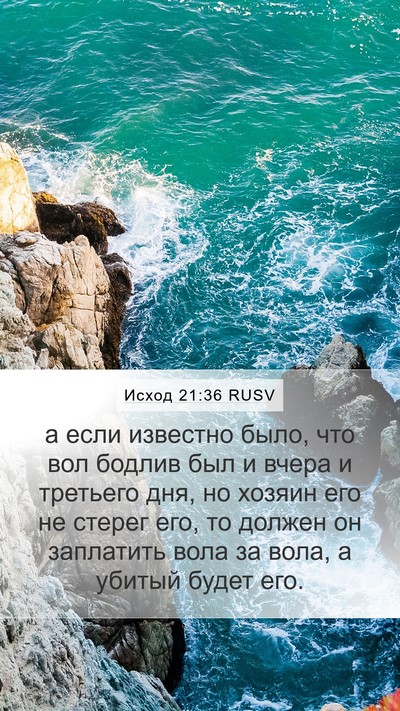 Исход 21:36 RUSV Mobile Phone Wallpaper - а если известно было, что - Mobile Bible Verse Wallpaper