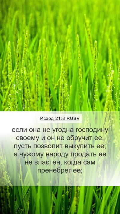 Исход 21:8 RUSV Bible Verse Image