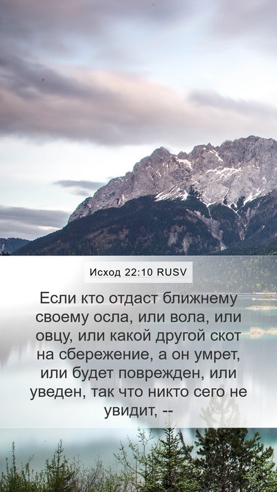 Исход 22:10 RUSV Bible Verse Image