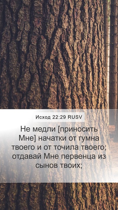 Исход 22:29 RUSV Bible Verse Image