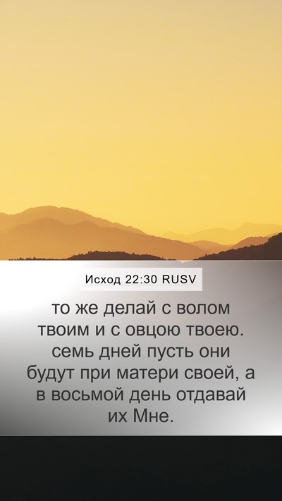 Исход 22:30 RUSV Bible Verse Image