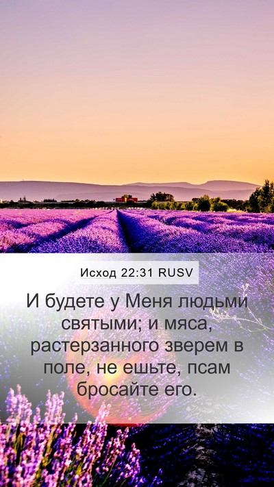 Исход 22:31 RUSV Bible Verse Image