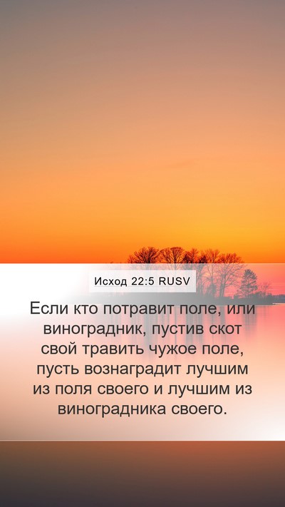 Исход 22:5 RUSV Mobile Phone Wallpaper - Если кто потравит поле, или - Mobile Bible Verse Wallpaper