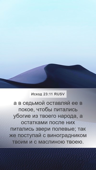 Исход 23:11 RUSV Bible Verse Image