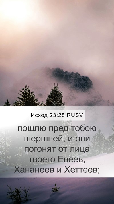 Исход 23:28 RUSV Bible Verse Image