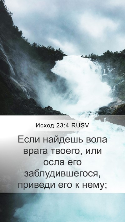 Исход 23:4 RUSV Bible Verse Image