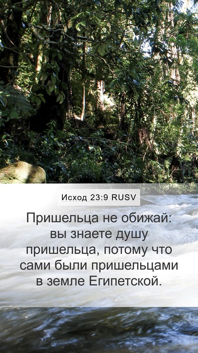 Исход 23:9 RUSV Bible Verse Image