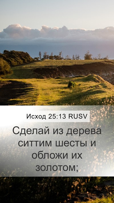 Исход 25:13 RUSV Bible Verse Image