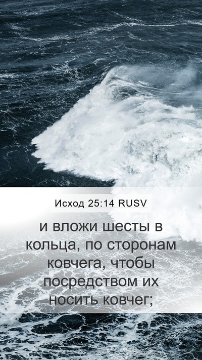 Исход 25:14 RUSV Bible Verse Image