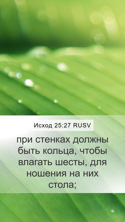 Исход 25:27 RUSV Bible Verse Image