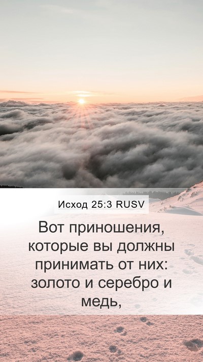 Исход 25:3 RUSV Bible Verse Image