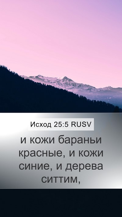 Исход 25:5 RUSV Bible Verse Image