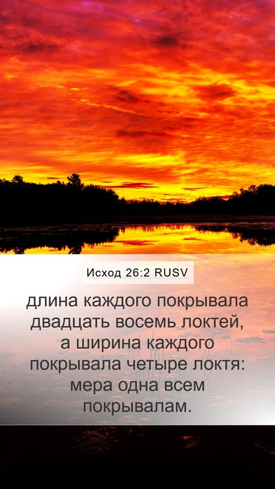 Исход 26:2 RUSV Mobile Phone Wallpaper - длина каждого покрывала - Mobile Bible Verse Wallpaper