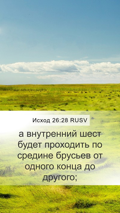 Исход 26:28 RUSV Mobile Phone Wallpaper - а внутренний шест будет - Mobile Bible Verse Wallpaper