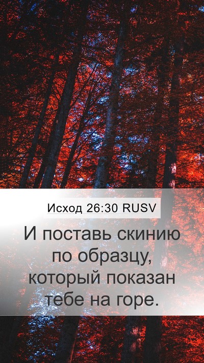 Исход 26:30 RUSV Bible Verse Image