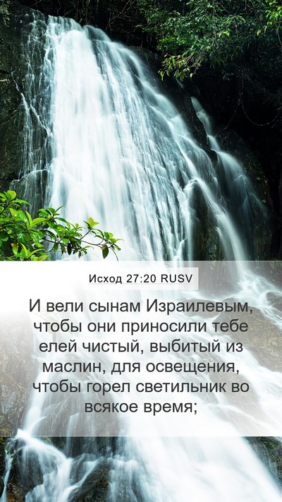 Исход 27:20 RUSV Bible Verse Image