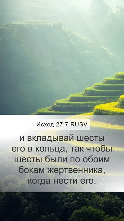 Исход 27:7 RUSV Mobile Phone Wallpaper - и вкладывай шесты его в - Mobile Bible Verse Wallpaper