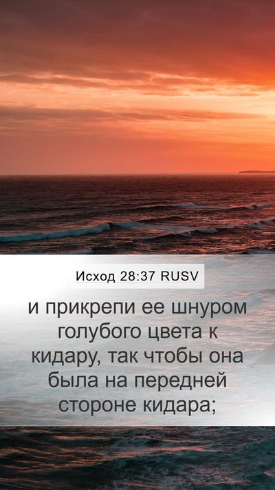 Исход 28:37 RUSV Mobile Phone Wallpaper - и прикрепи ее шнуром - Mobile Bible Verse Wallpaper