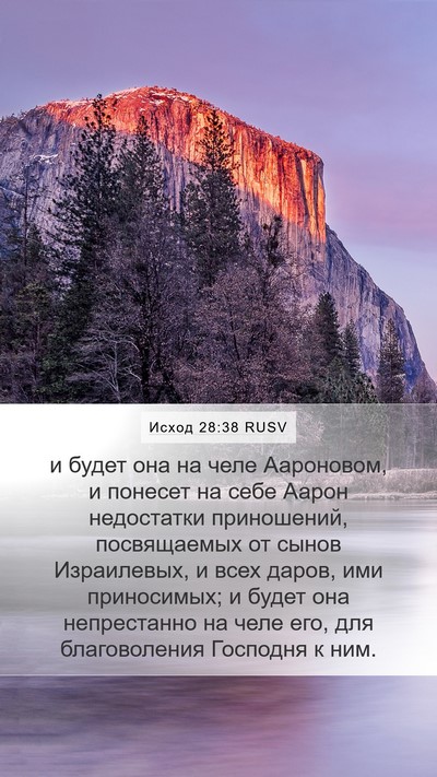 Исход 28:38 RUSV Bible Verse Image