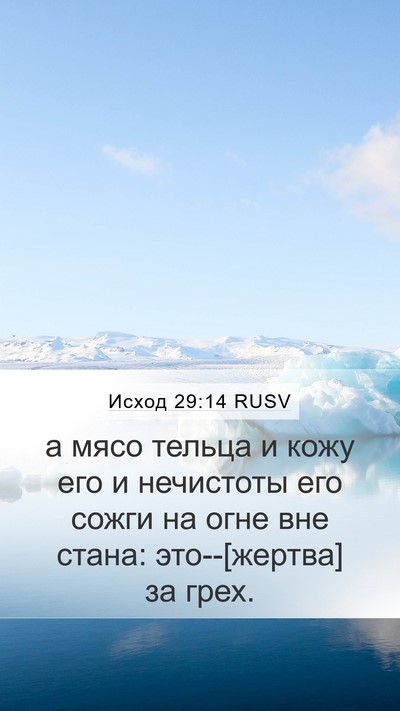 Исход 29:14 RUSV Bible Verse Image