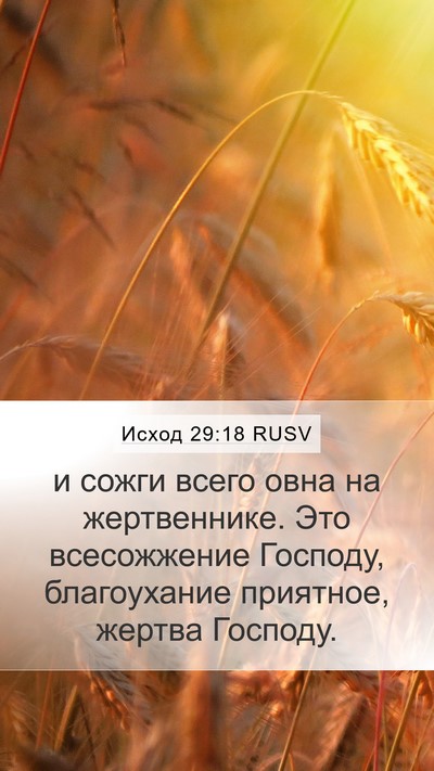 Исход 29:18 RUSV Bible Verse Image